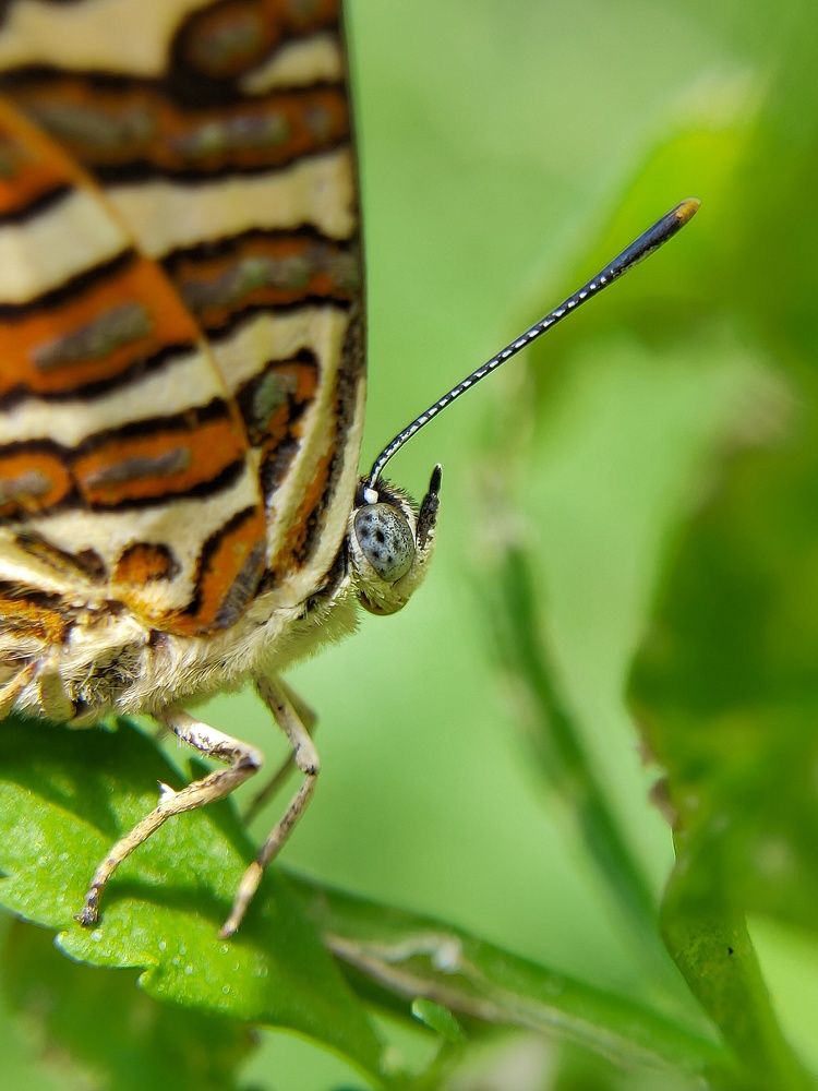 Photograph by Taj Singh Samanta