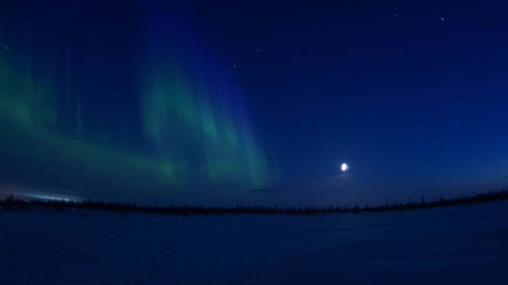 Фотография автора Elena Gasay