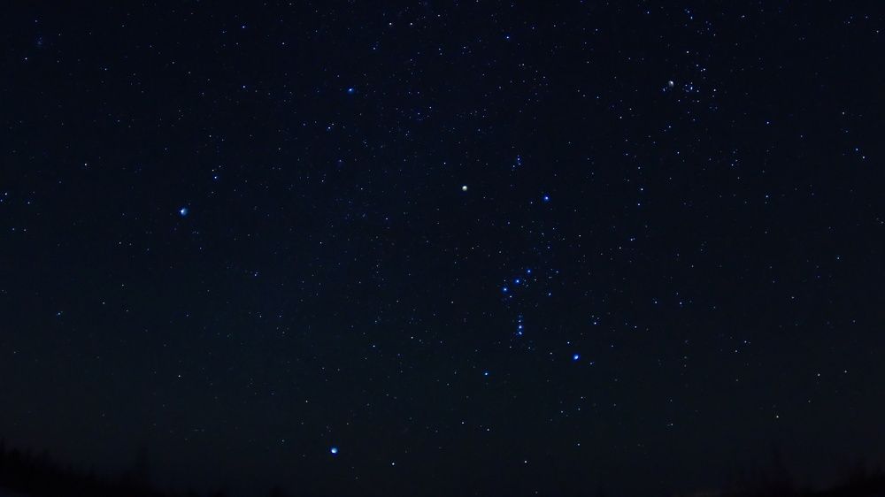 Фотография автора Elena Gasay