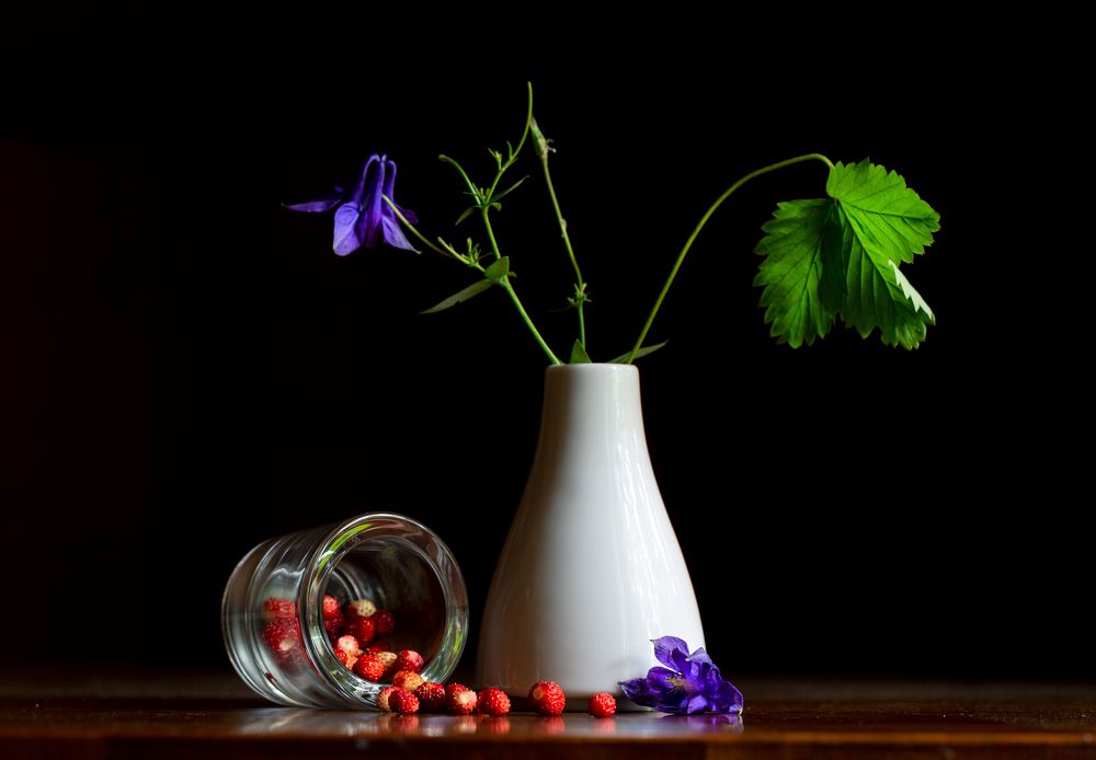 Фотография автора Людмила Прокофьева