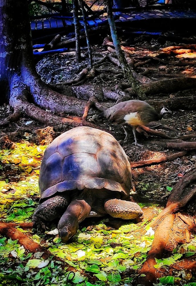 Photograph by Наталья Рау