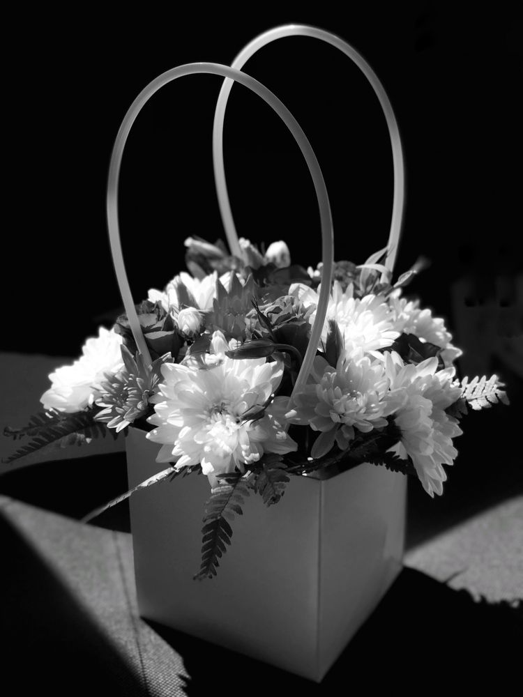 Photograph by Людмила Евстратова