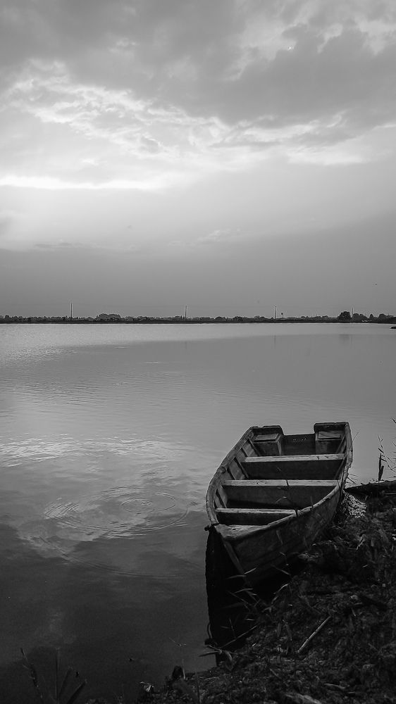 Photograph by mahdi ghanbari