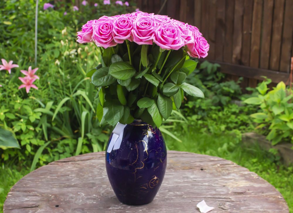 Photograph by  Vladimir