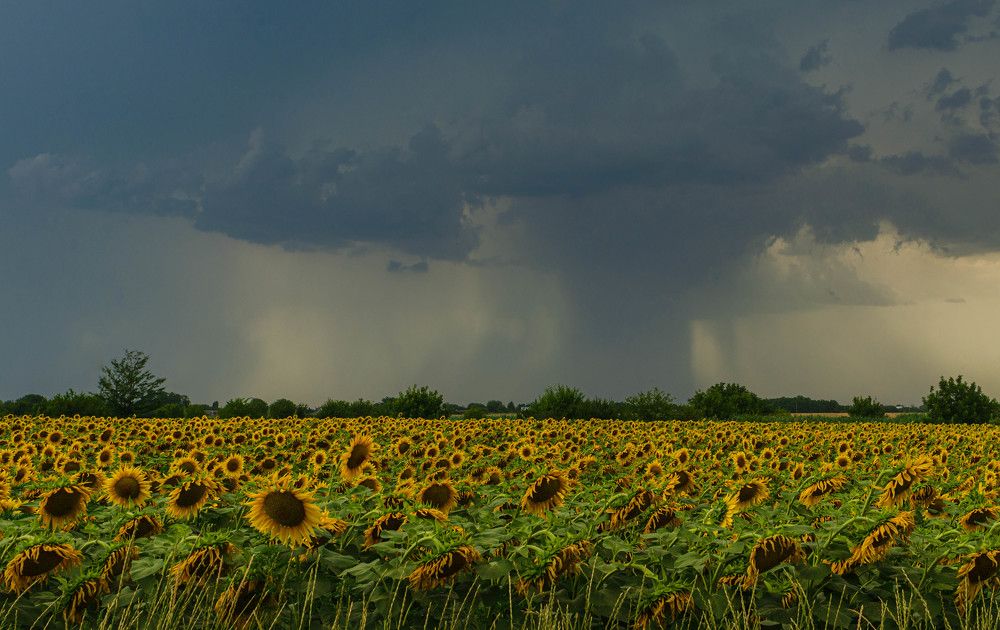 Photograph by Редько Александр