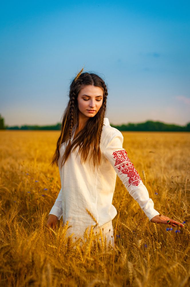 Среди пшеницы и васильков