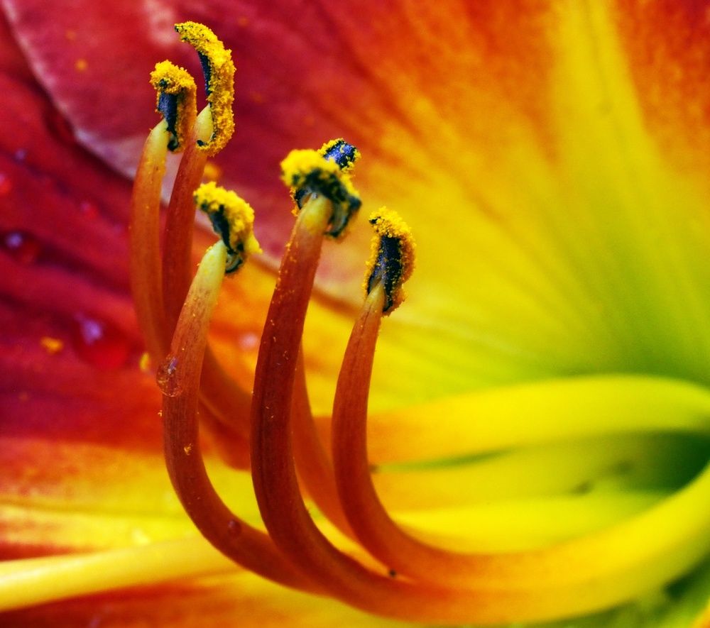 Фотография автора Tatyana Markova