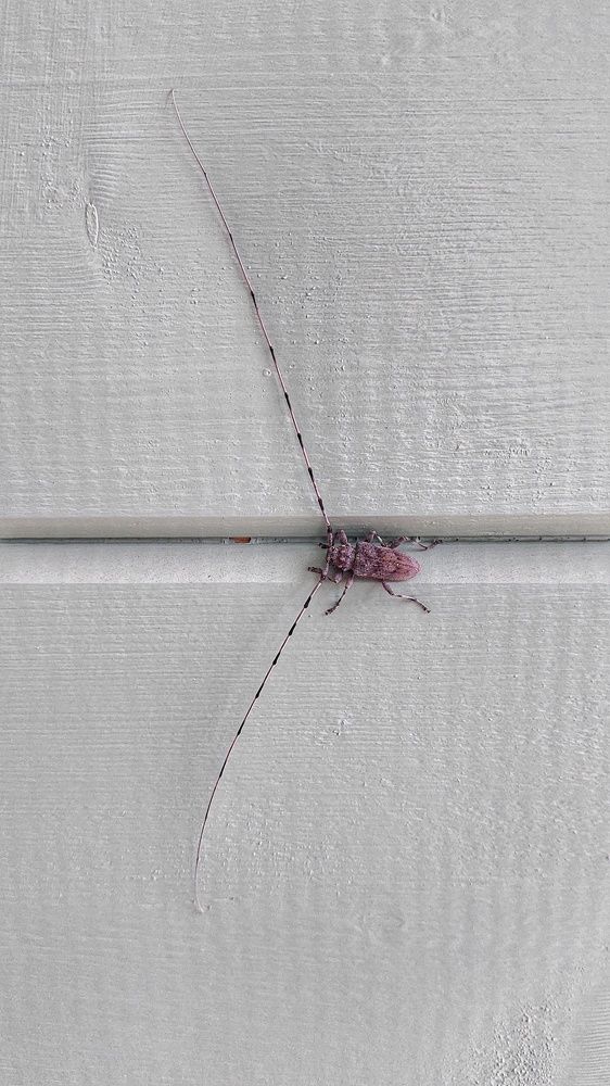 Photograph by Андрей Нурулин