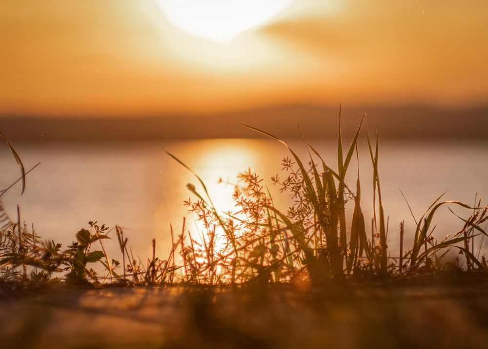 Photograph by Тамара Вотинцева