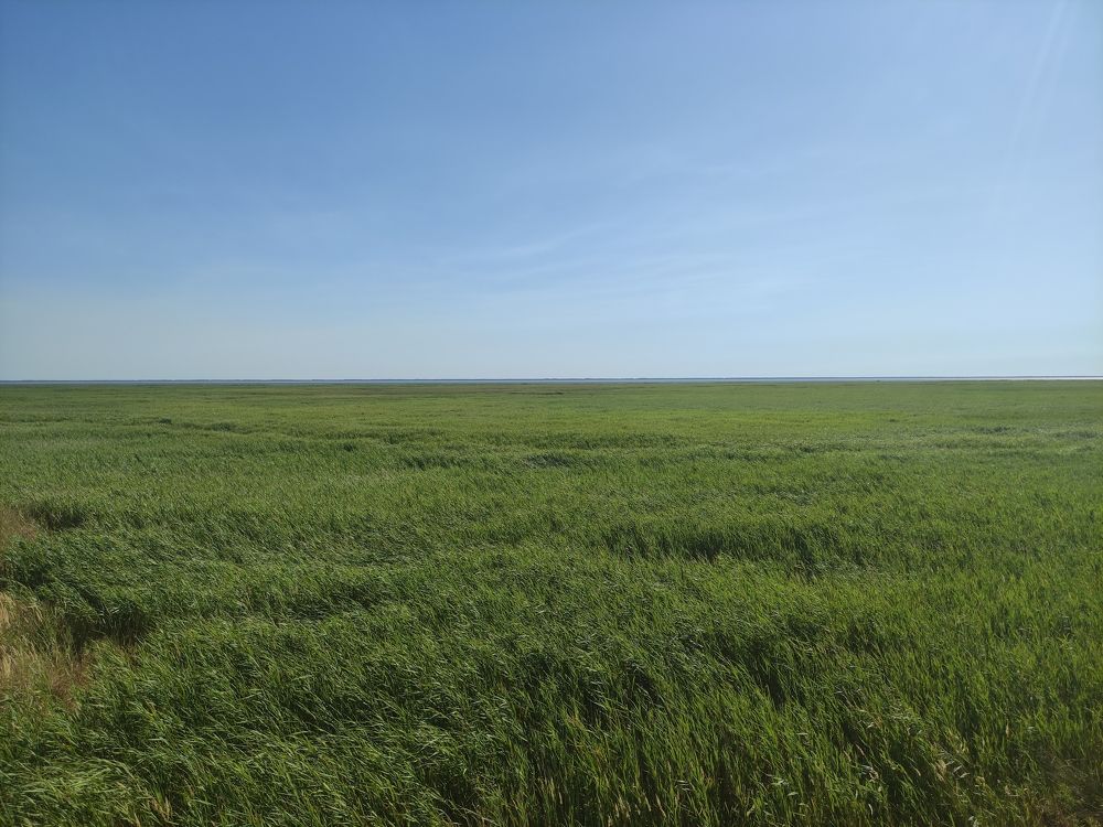 Фотография автора Юлия