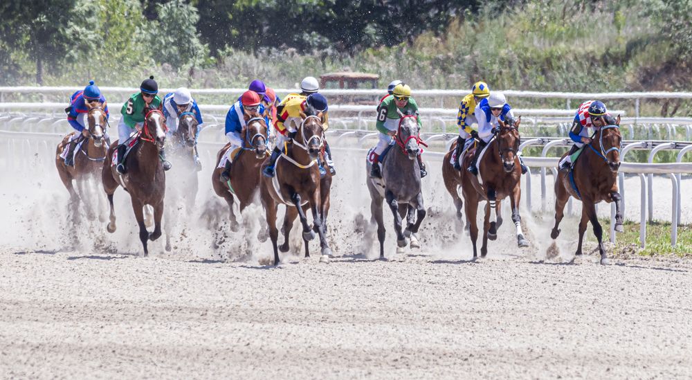 Photograph by Сергей Савчук