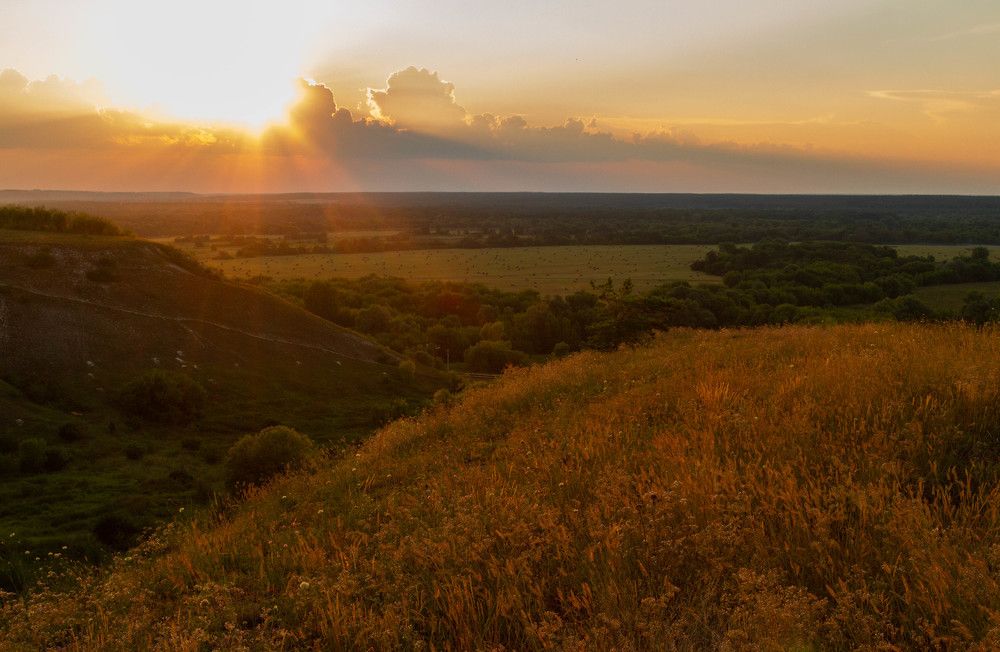 Фотография автора Алексей Тимофеев