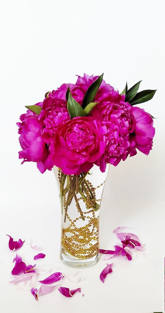 Photograph by Елена Фабрицкая