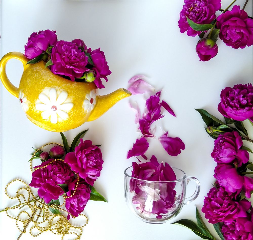 Photograph by Елена Фабрицкая