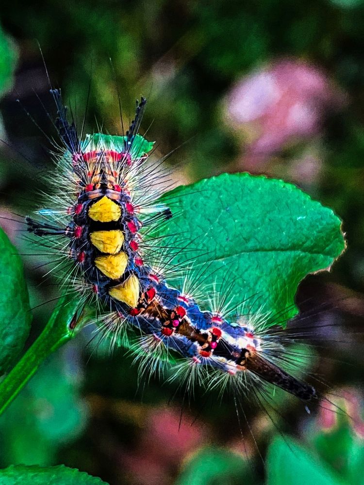 Photograph by Ольга Уласик