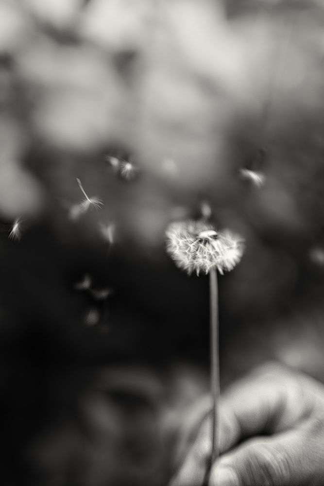 Photograph by Tinoco Erika