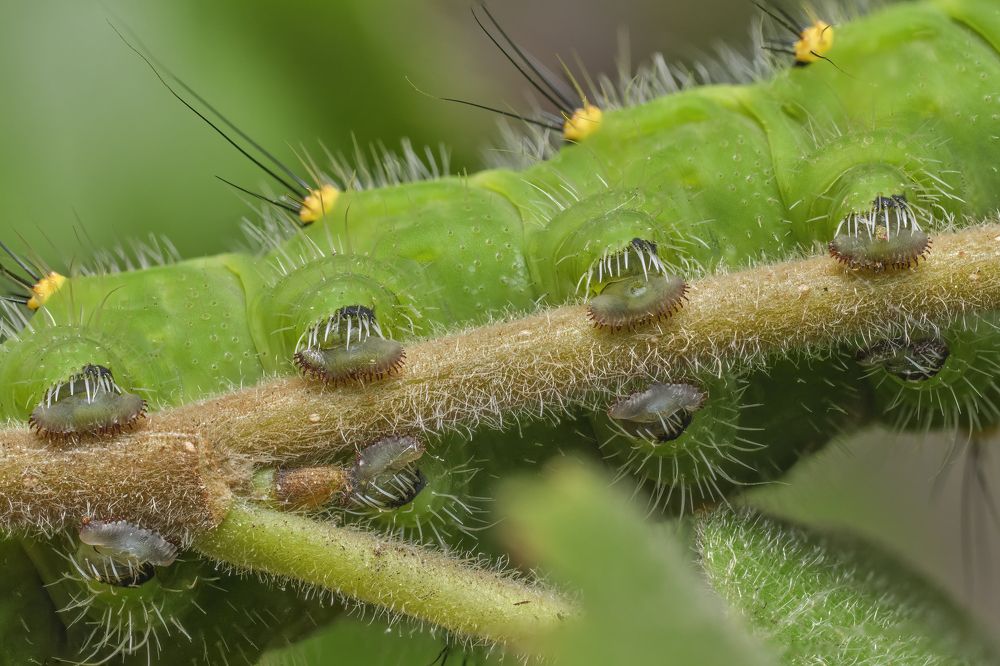 Фотография автора Eimar Kull