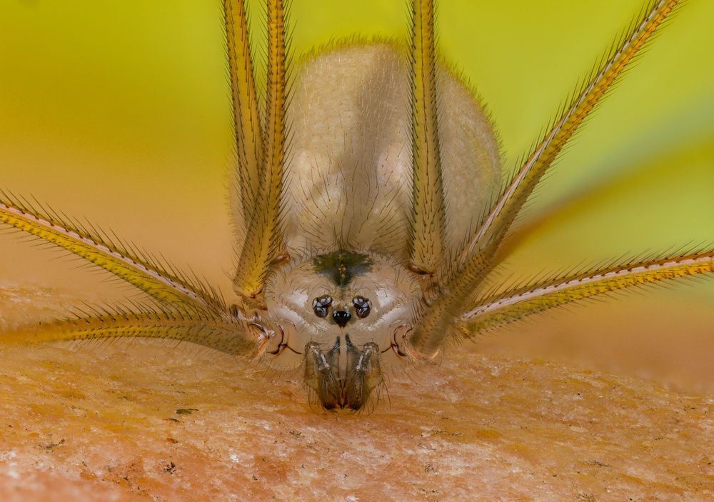 Photograph by Павел Овечкин