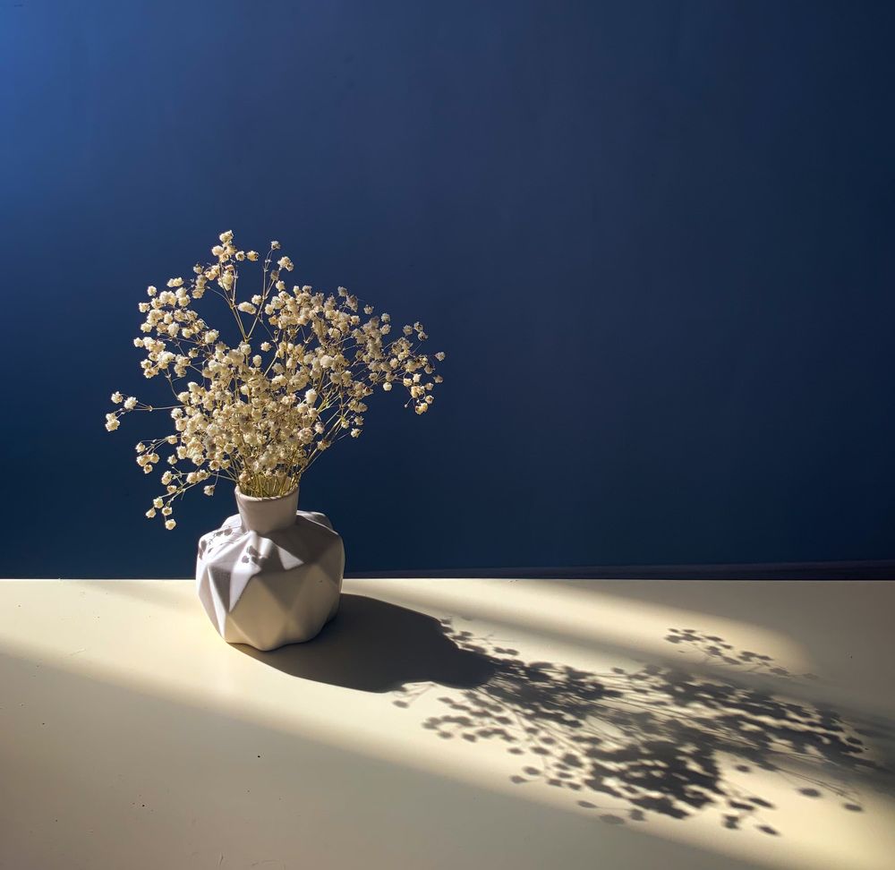 Photograph by Елена Миловидова