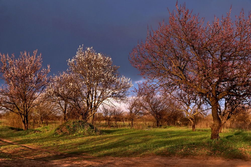 Photograph by Владимир Подкуйко