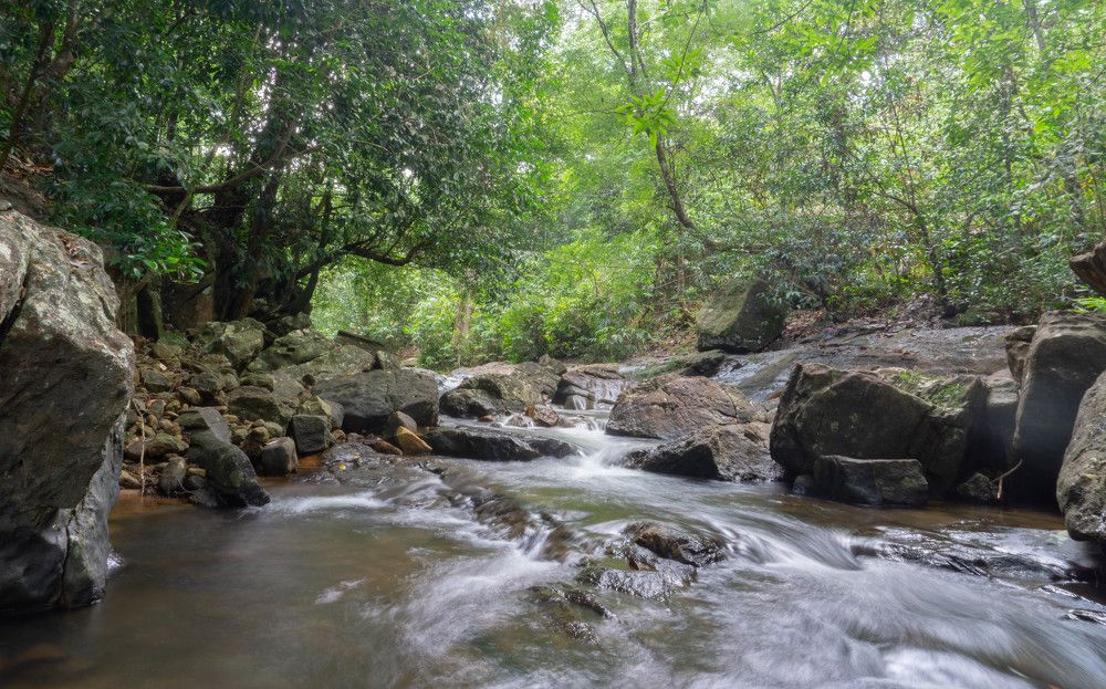 Photograph by Upeksha lakshan