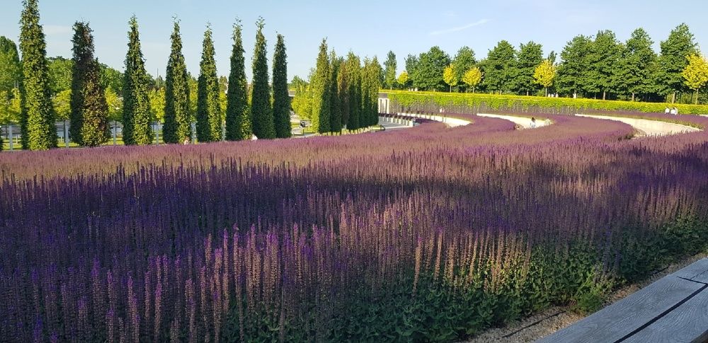 Фотография автора Ольга Мусина