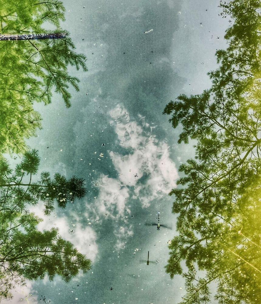 Photograph by Alexander Shcherbakov