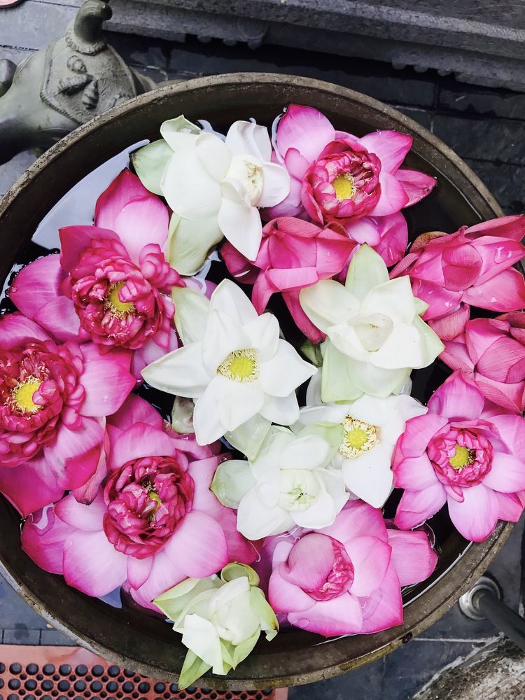 Photograph by Tharindu k