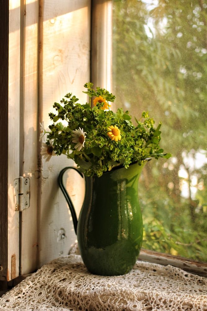 Фотография автора Евгения Снигирева