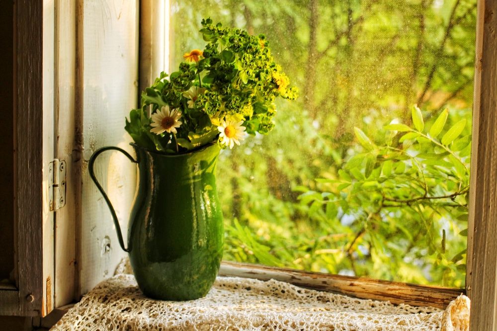 Фотография автора Евгения Снигирева