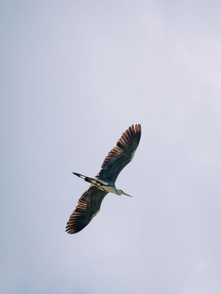 Photograph by Степанец Дмитрий