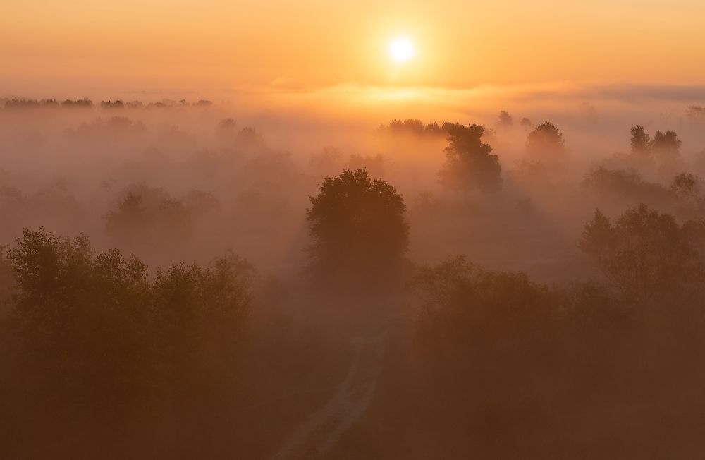 Встречая рассвет