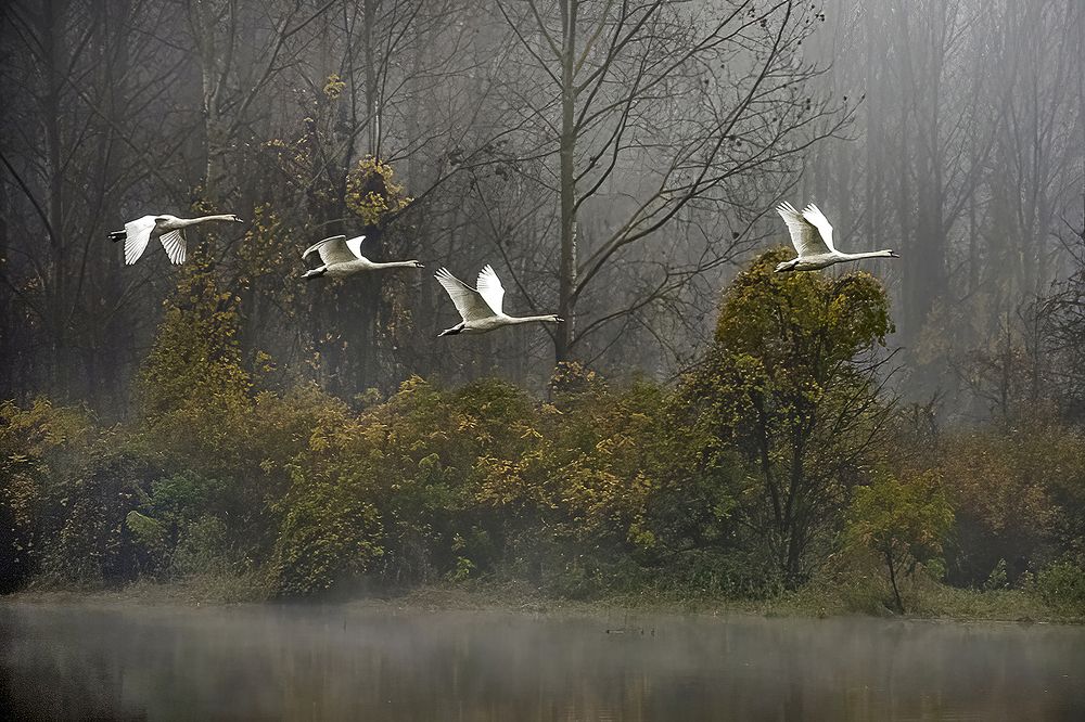 Photograph by Slavko Rošul