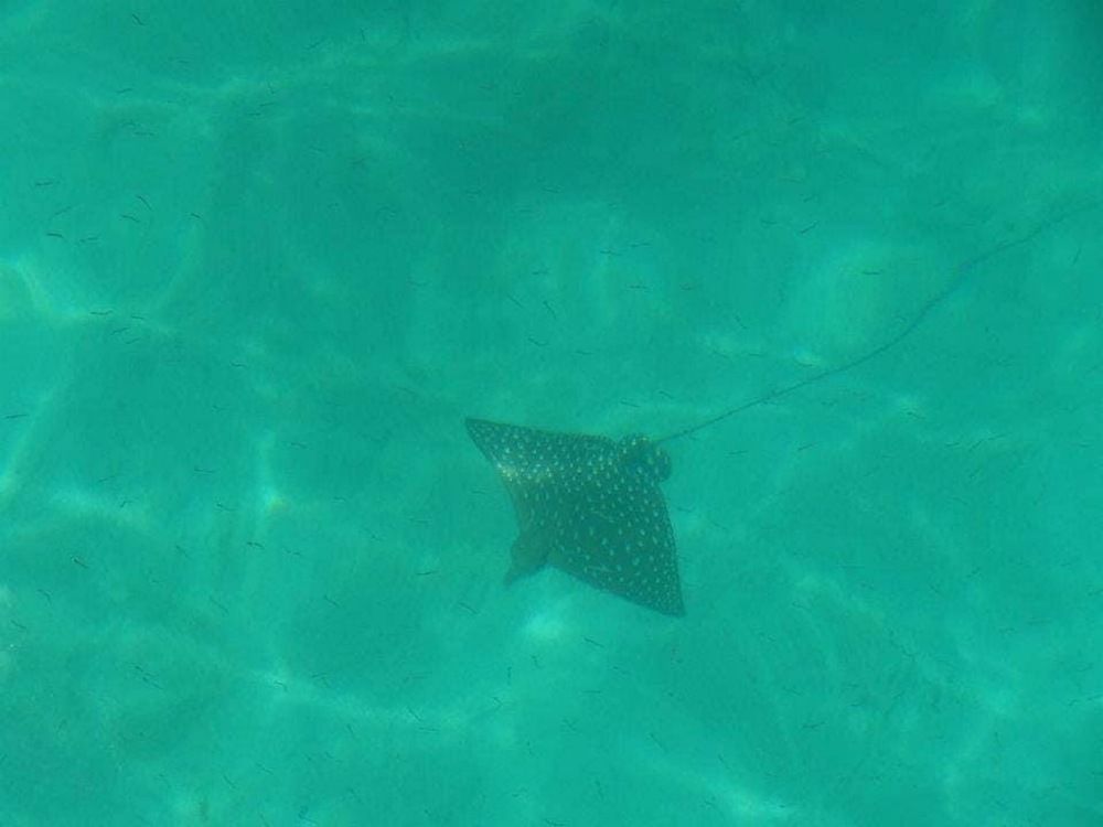 Photograph by Glosito Pabayo