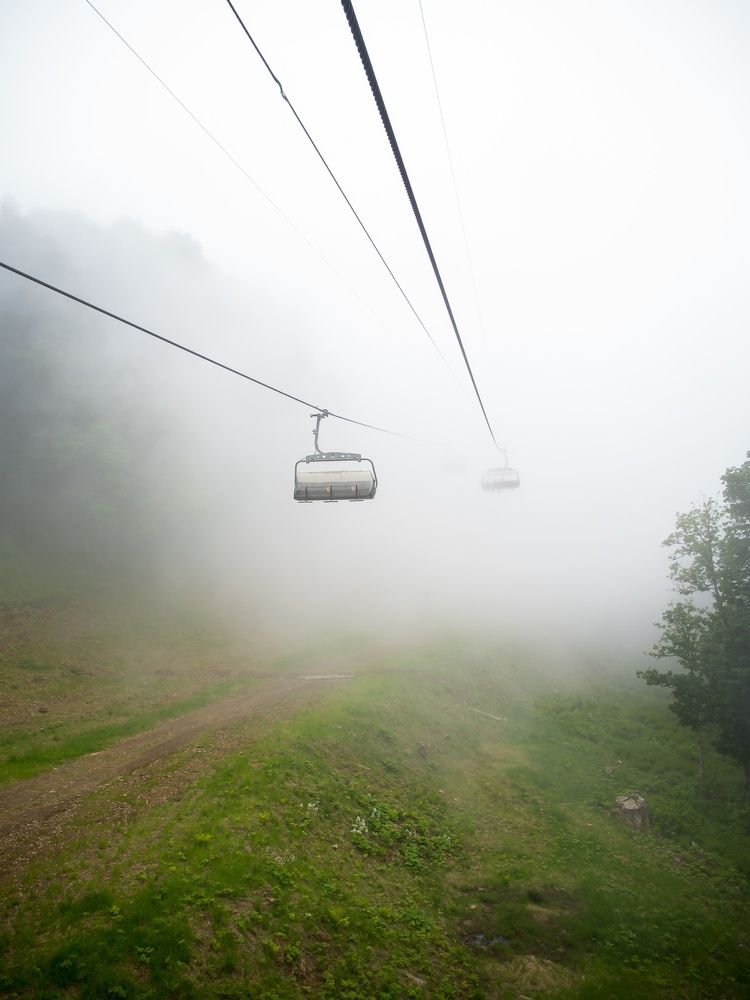 Photograph by Алена Алалыкина