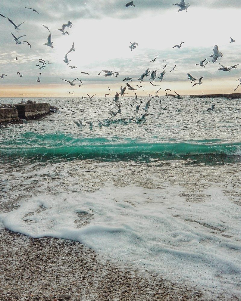 Photograph by Виктория Колесникова