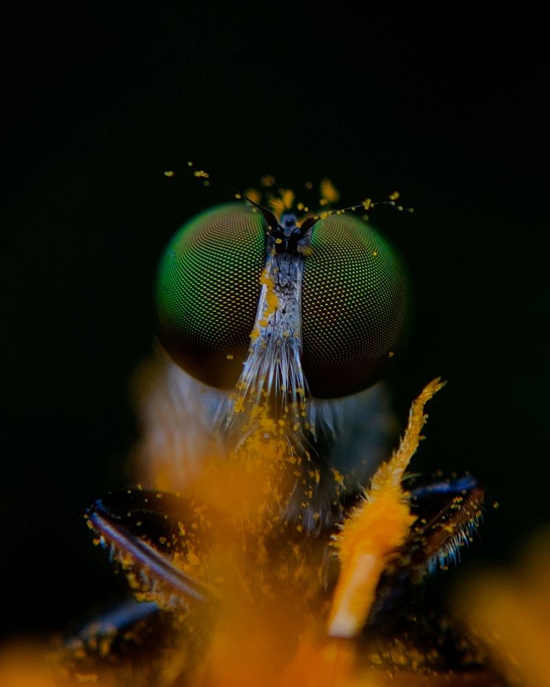 Photograph by Ajeesh A