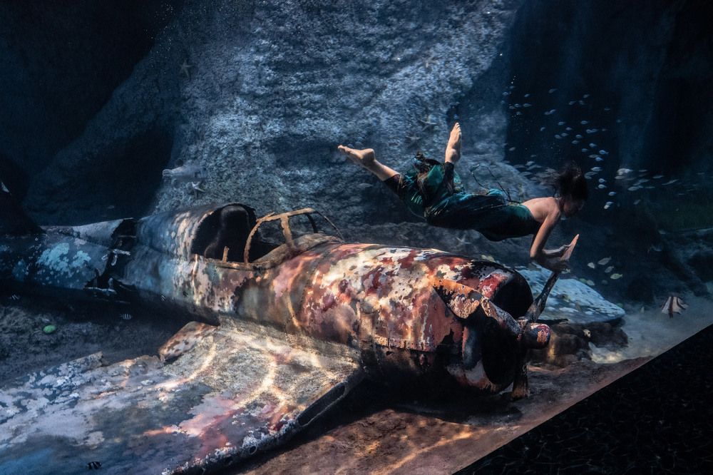 between dream and reality