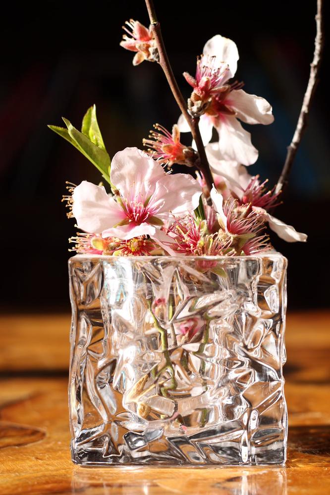 Photograph by Irina Fedorova