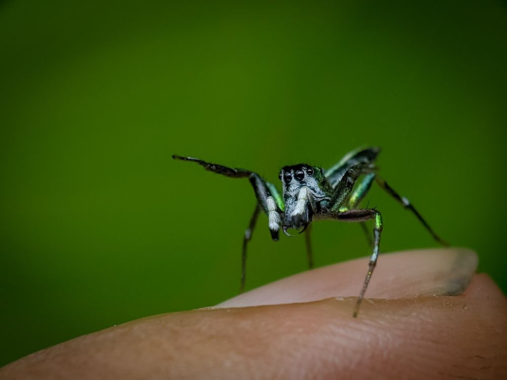 Photograph by Mohammed thbliq Azman