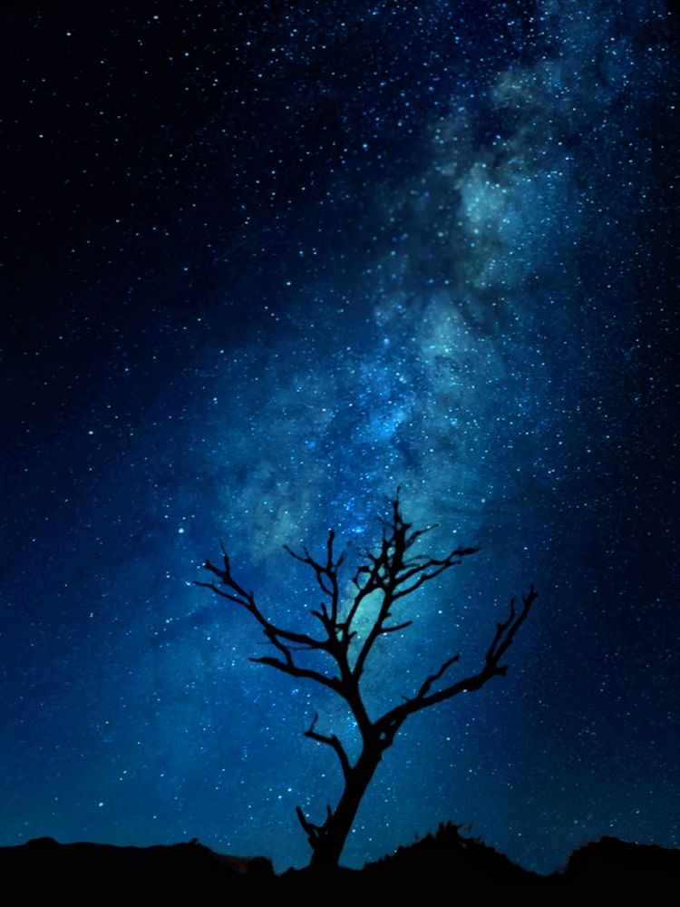 Photograph by Meet prajapati