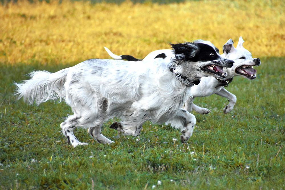 Photograph by Елизавета