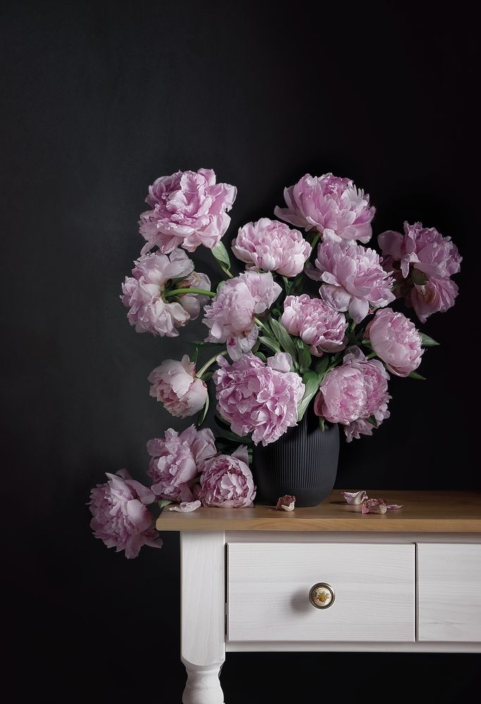 Фотография автора Виктория Шаманова