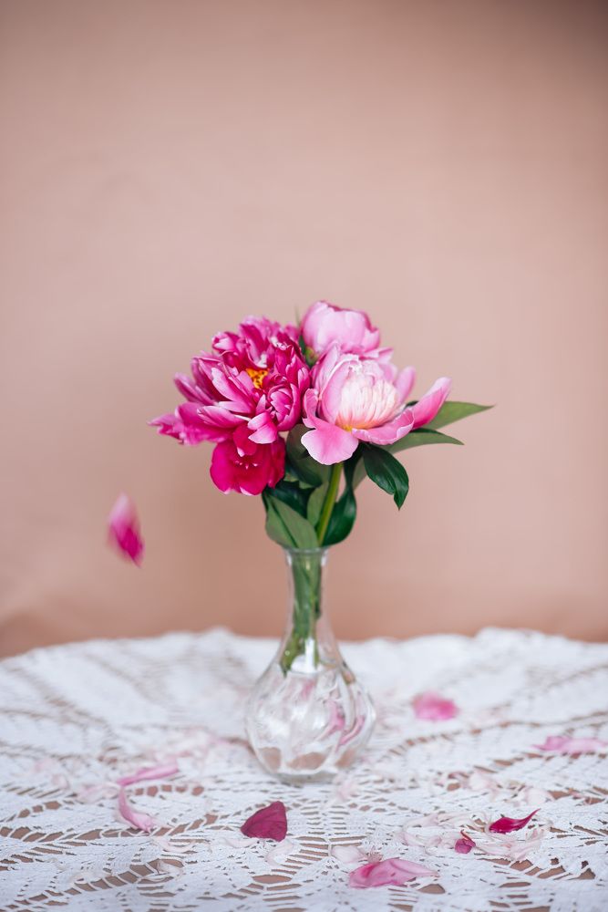 Photograph by Светлана Антипова