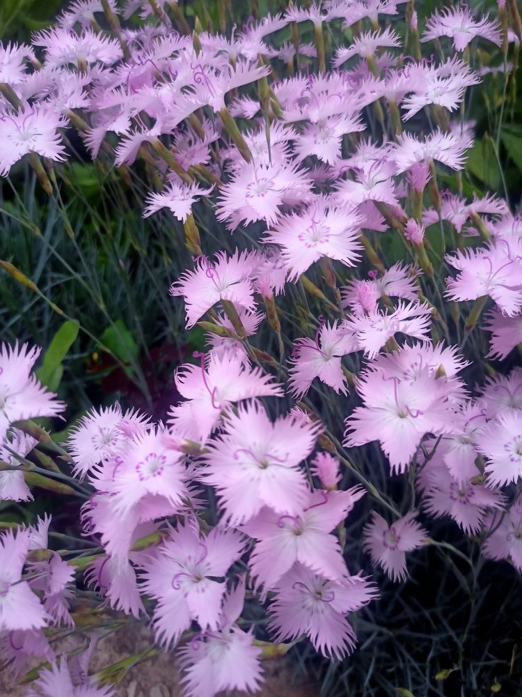 Photograph by Елизавета Мишина