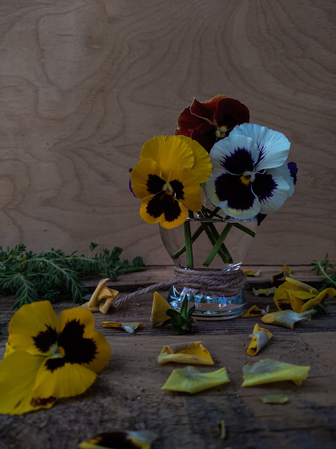 Photo #7845715
