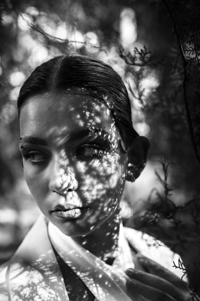 Фотография автора Сергей Василенко