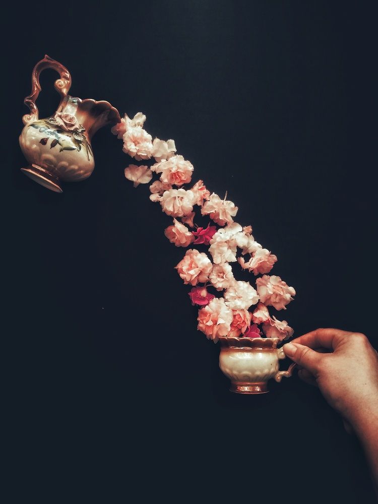 Photo #7845779