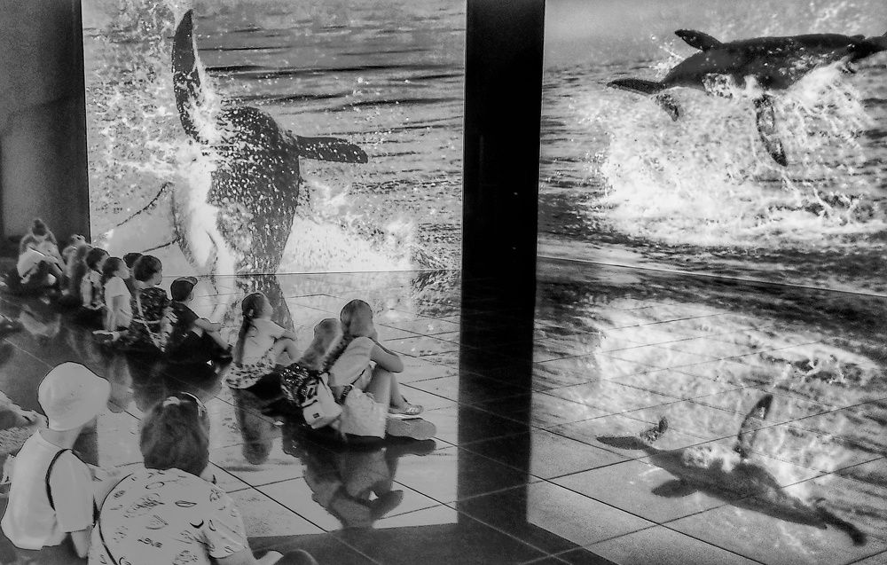 Фотография автора Виктор Крючков