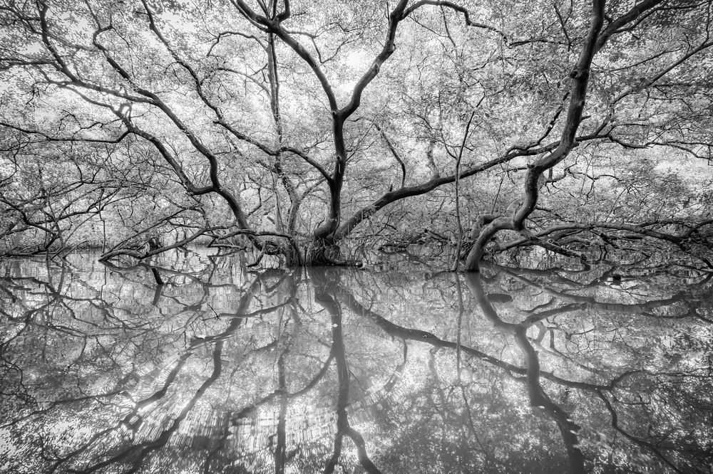Photograph by Dylan Tom